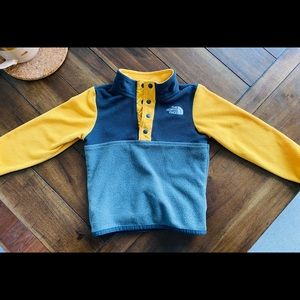 The north face 1/4 button sweater
